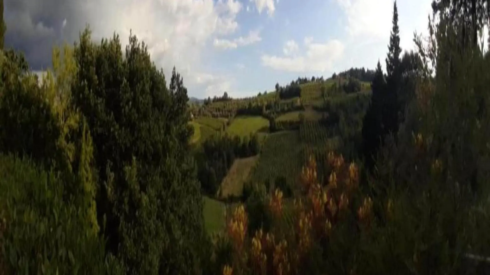 Panoramic Renovated Barn With Terrace And Pool Lejlighed Montaione